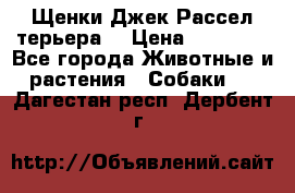 Щенки Джек Рассел терьера  › Цена ­ 15 000 - Все города Животные и растения » Собаки   . Дагестан респ.,Дербент г.